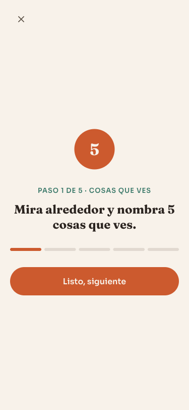 El Ancla de 3 Minutos en marcha, en el paso de nombrar 5 cosas que ves
